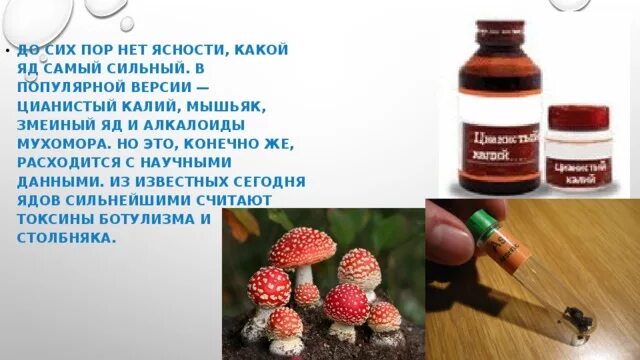 Сильнейшую отраву. Яды в медицине. Какой самый сильный яд. Яд препарат. Самый сильный яд для человека.