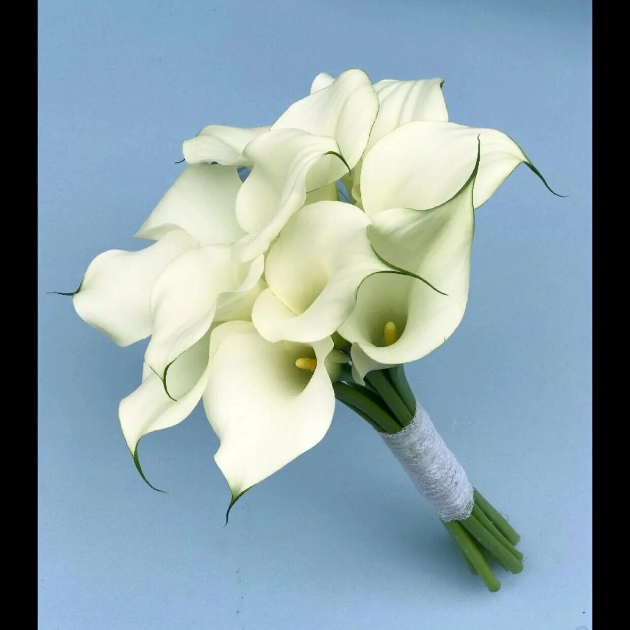 Beautiful wedding bouquet with calla and rose flowers Desktop wallpapers 1680x10