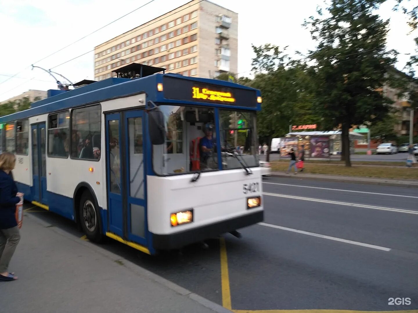 Троллейбус 31. 31троллейб. Троллейбус 31 Санкт-Петербург. Маршрут 31 троллейбуса СПБ.