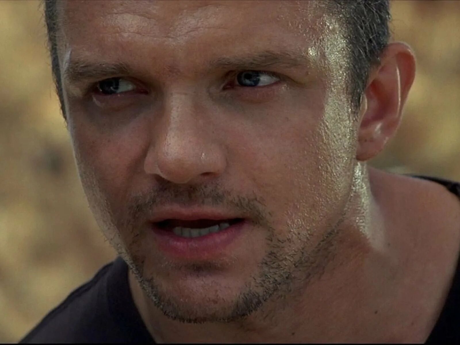 кремень фильм с владимиром епифанцевым 1. чёрный пёс-3 (2022) епифанцев. чёрный пёс сериал владимир епифанцев. актер владимир епифанцев. боевики с епифанцевым в главной роли.