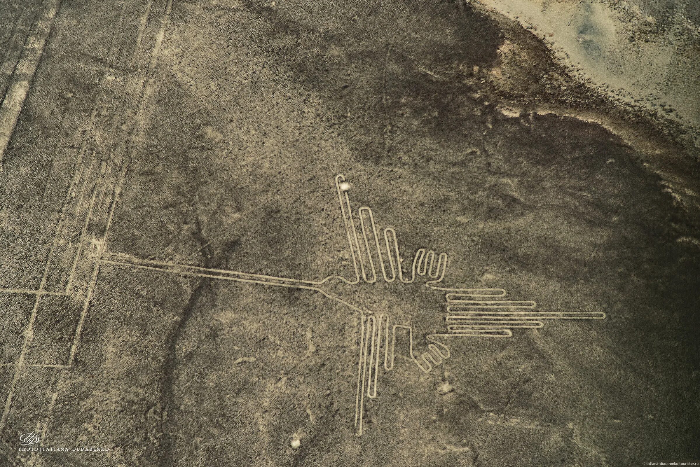 Пустыни наска. Рисунки в пустыне наска размеры. Фигуры плато наска. Фигуры плато наска. Геоглифы наска в перу.