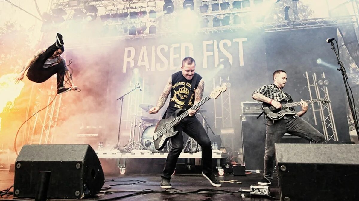 Raised. Raised fist Sound of the Republic album picture. Raised back