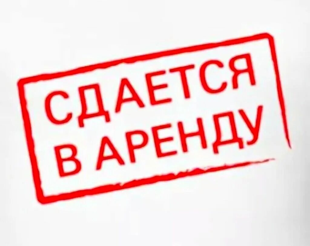 Сдается помещение в аренду. Сдается в аренду. сдается в аренду вывеска. сдается помещение надпись.