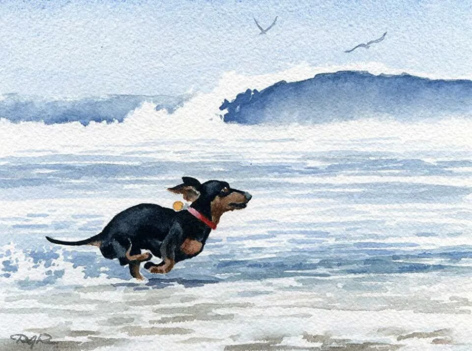 Картина по номерам 40х50 такса. Собака в движении акварель. Такса на море. Такса в движении.