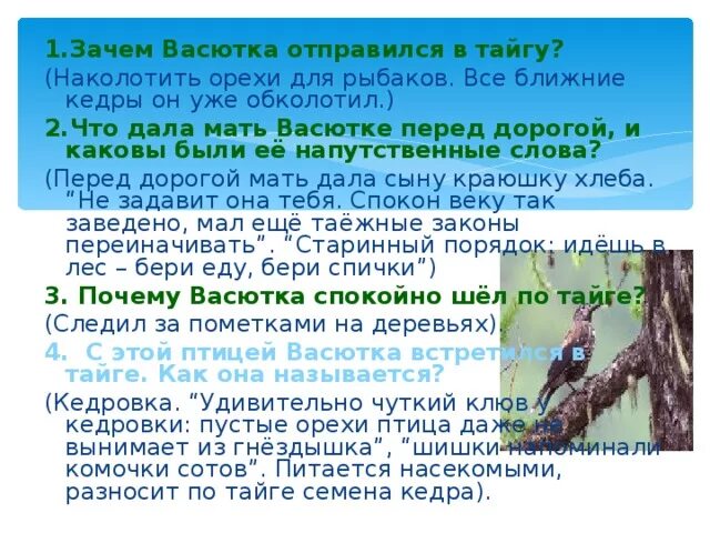 Что понравилось вам в васютке. Зачем Васютка отправился в тайгу. Васютка отправляется в лес. Зачем Васютку отправили в тайгу. Зачем Васютка отправился в лес.