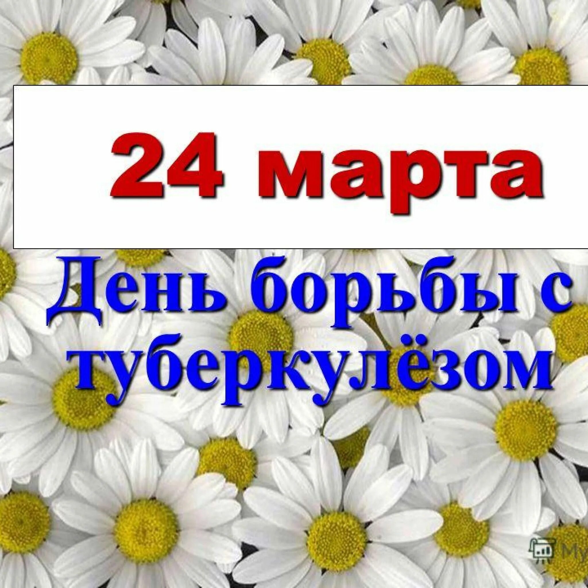 4 24 праздник. Марата 24а.