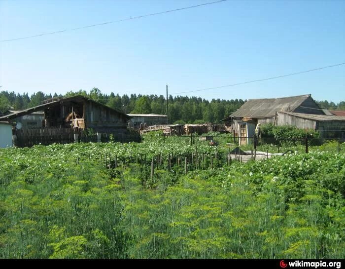 Село кажа. Усть-кажа Красногорского района Алтайского края. Усть кажа Красногорский район Алтайский край. Верх кажа Красногорский район Алтайский край. Деревня Усть Тандовка Барабинский район.