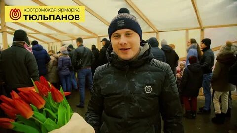 Тюльпаны кострома
