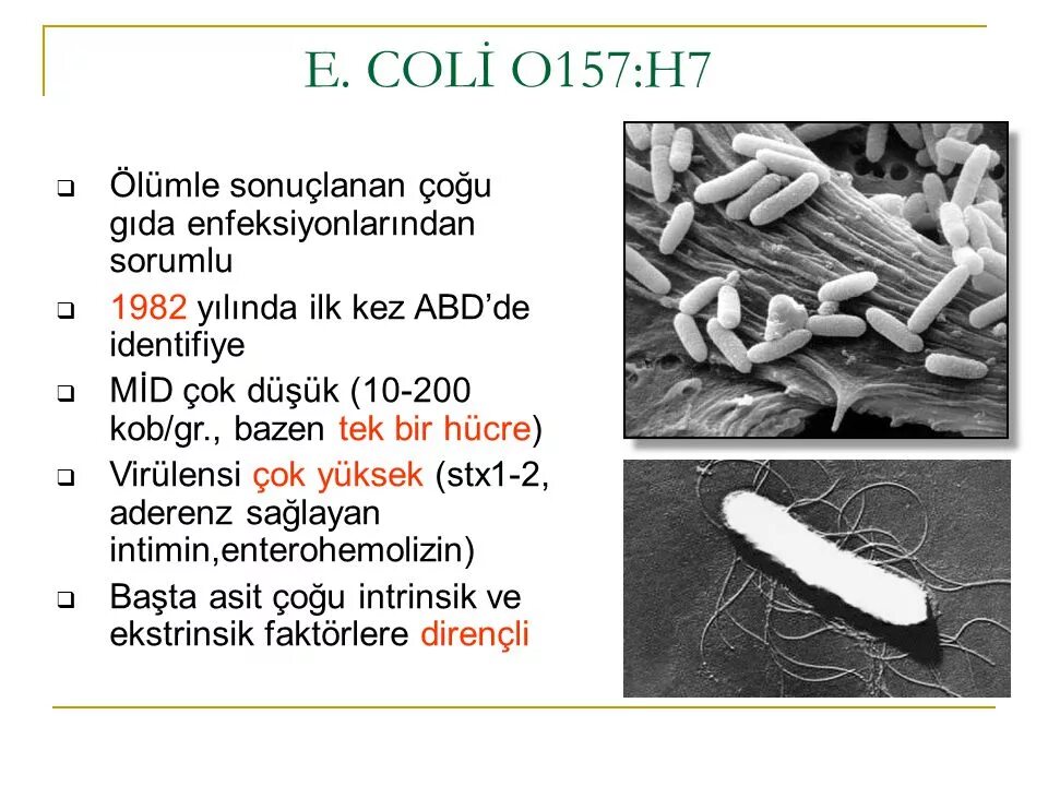 E coli гемолитические кал на дисбактериоз. Эшерихия коли гемолитическая в кале. Кишечная палочка escherichia coli симптомы. Гемолитическая кишечная палочка у грудничка в кале. Заболевания от кишечной палочки.