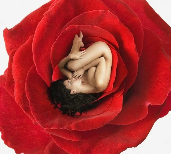 цветы похожие на женские половые органы. орхидея похожая на вагину. цветы похожие на женские половые органы. цветок похожий на женскую. лоно маленькое.