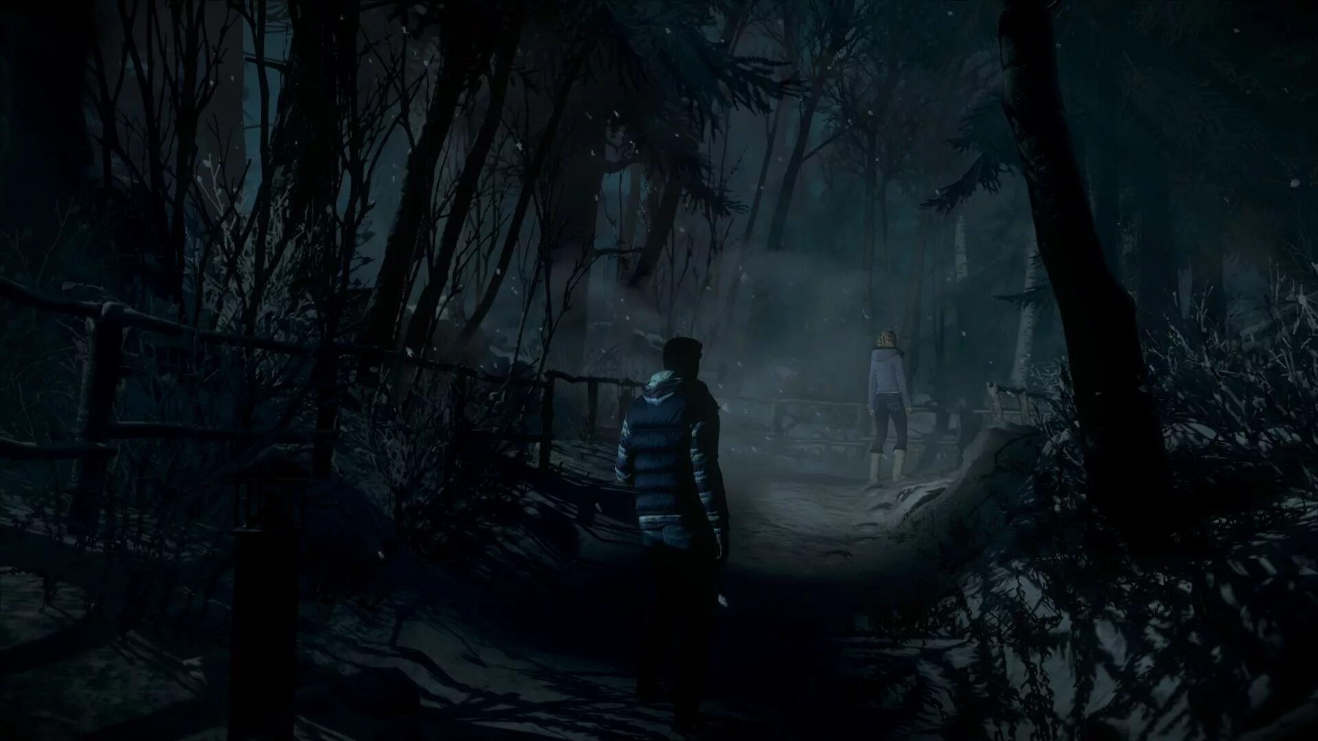 Until i end up. Until dawn лес. until dawn пейзажи.