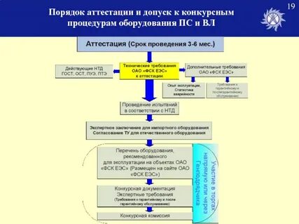 Сроки процедуры аттестации