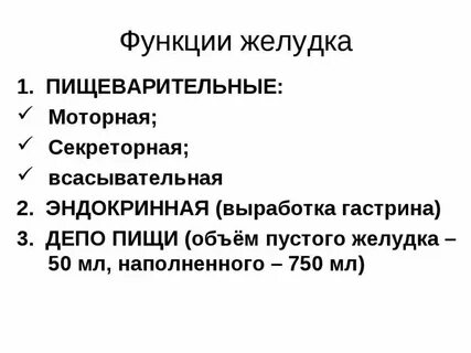 5 функций желудка
