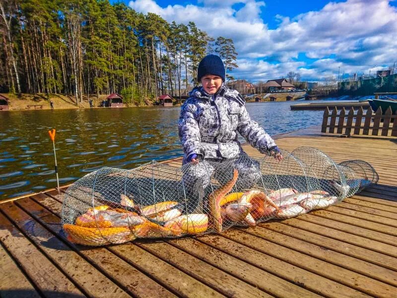 Рыбалка ру клуб. Фишпоинт золотой сазан. Щука золотой сазан. Форель в садке. Садок для рыбы.