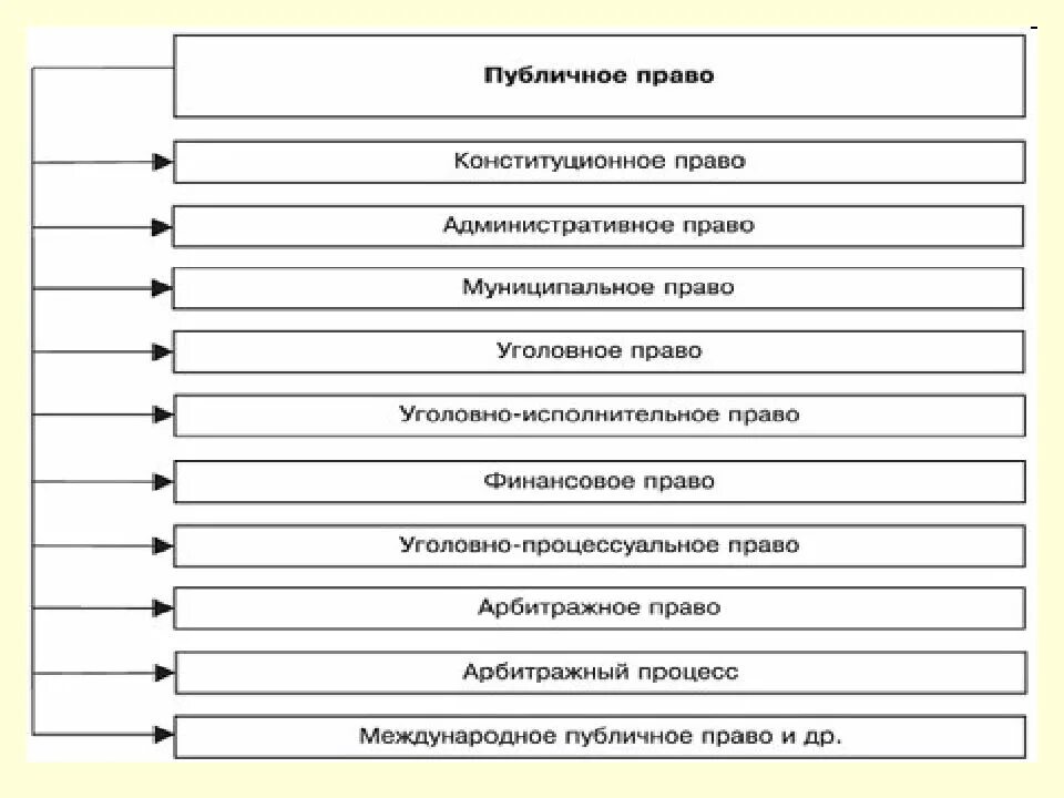 Публичное право в риме. Схема отраслей частного права. Отрасли публичного права схема. Отрасли публичного и частного права схема. Отрасли права схема публичное право.