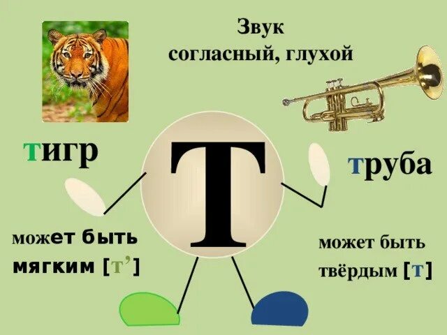 Слово т первое е последние