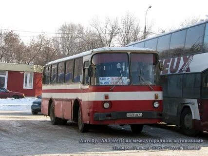 Автобусы зерноград