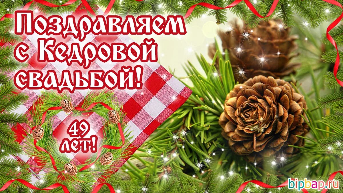 С годовщиной 49 лет. 49 Лет свадьбы поздравления. Поздравление с 49 летием свадьбы. 49 Лет совместной жизни какая свадьба поздравления. Поздопвлениес49годовщинлйсвадьюы.