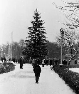 Новый 1967 год