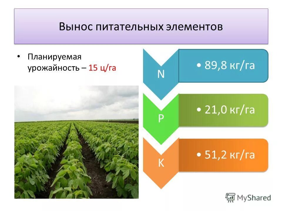 Биогенные элементы почвы. Питательные вещества для растений. Питательные вещества в почве. Гумус презентация. Биогенная система это.