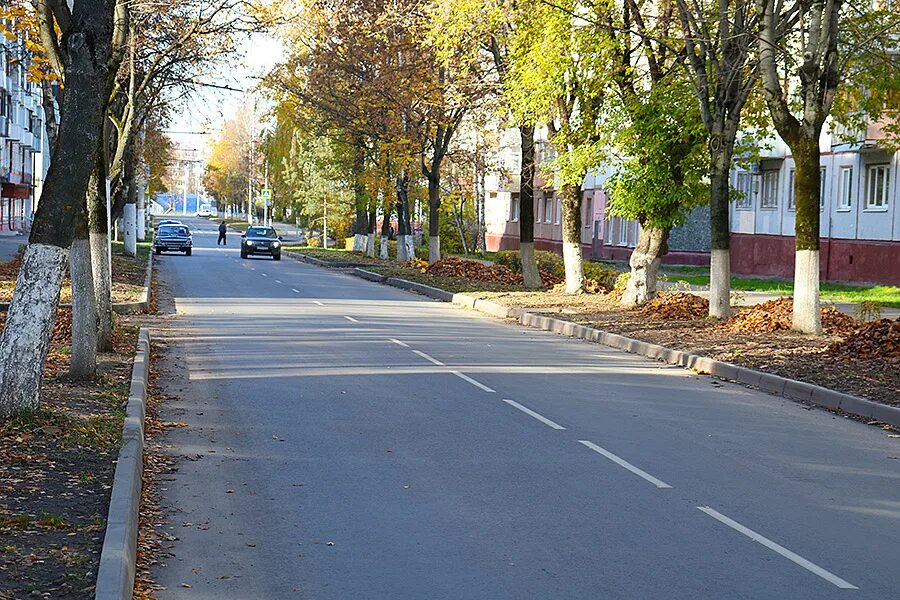 Почему не показывают улицу. Улица Пушкина Брянск Володарский район. Брянск ул Пушкина 44. Ул Пушкина 65 Брянск. Ул счастливая Брянск.