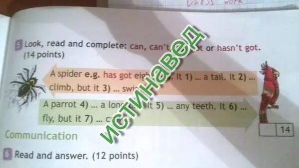 Can,can't has got 3 класс. Can can't has hasn't 3 класс. Look read and complete can can't has got or hasn't got 3 класс. Look read and complete 2 класс.