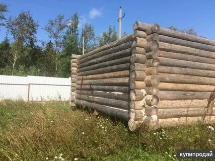 Авито сруб бу