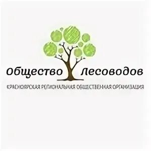Мулл мчс хакасия. Общественная организация красноярск. Общественная организация красноярск. Общественная организация красноярск. Общественная палата логотип.