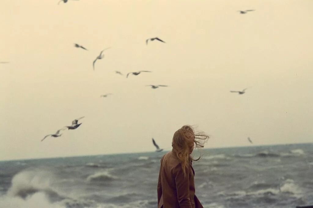 Вы совсем забыли как летать. Море птицы девушка. Девушка и Чайки. У моря грусть птицы. Море Чайки девочка.