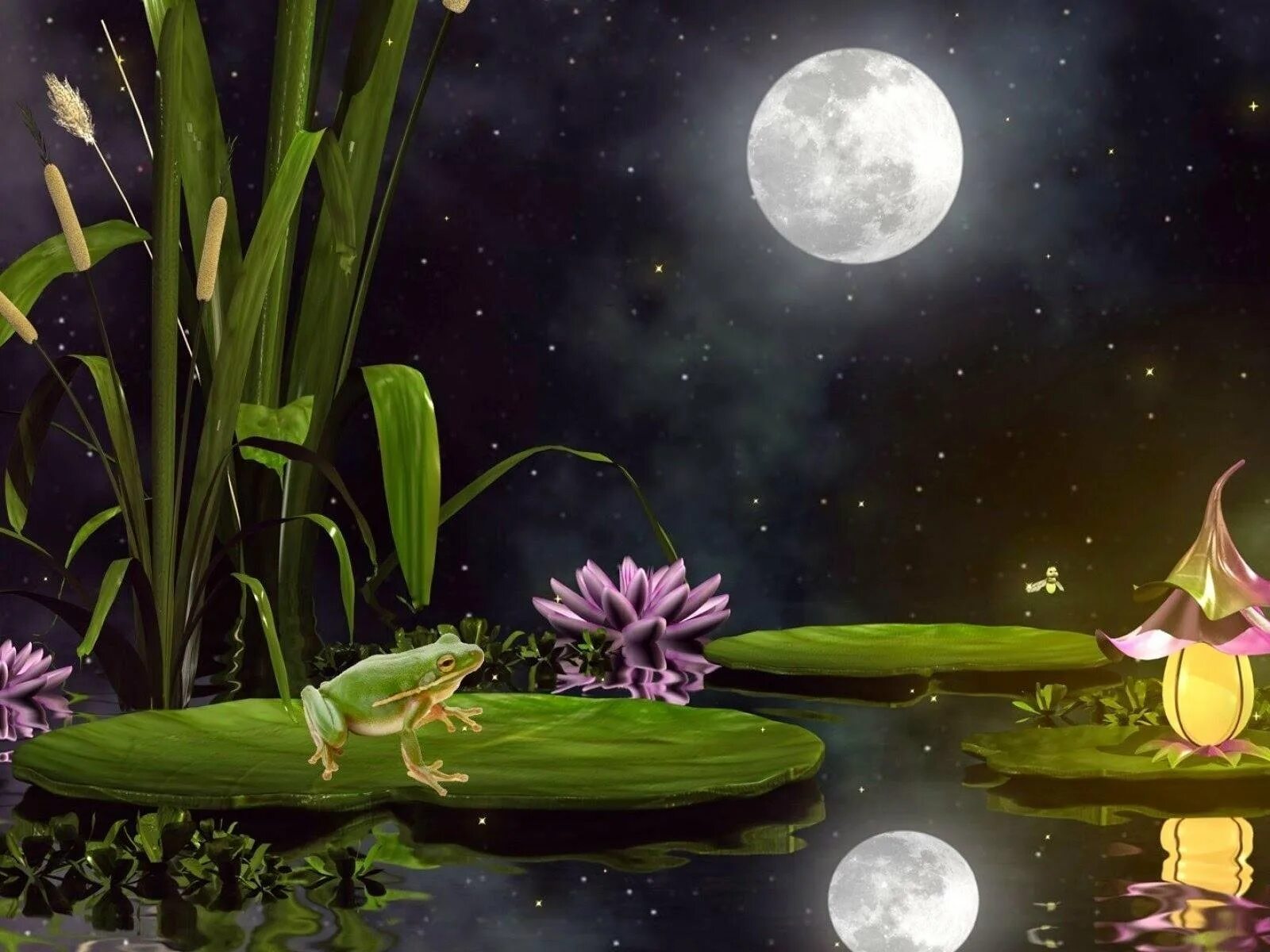 Сказочные цветы. Волшебная кувшинка. Сказочная ночь. Волшебной летней ночи. Чудесные лунные мартовские ночи ответы