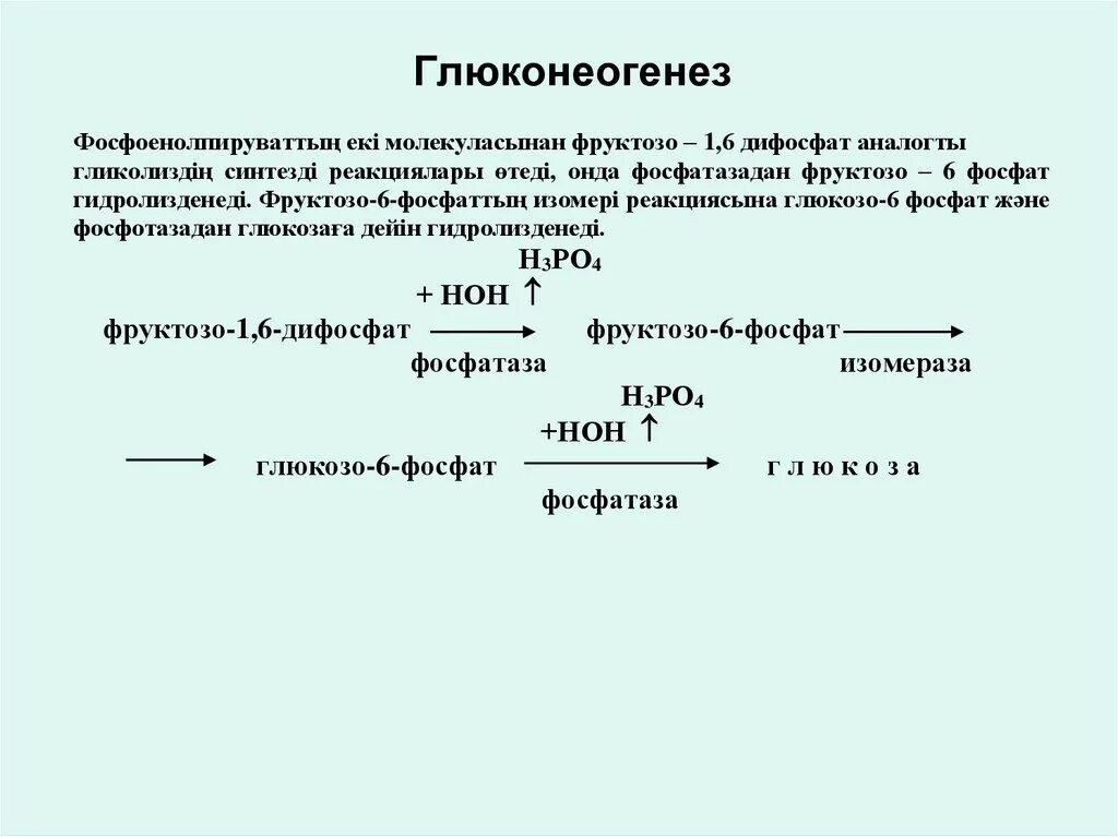 Ферменты глюконеогенеза. Реакции глюконеогенеза биохимия. Глюконеогенез реакции биохимия. Механизм глюконеогенеза. Активация глюконеогенеза.