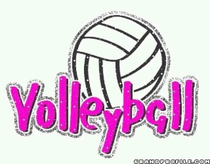 My favourite Sport. My favourite Sport topic. Love Volleyball. Me favourite sport