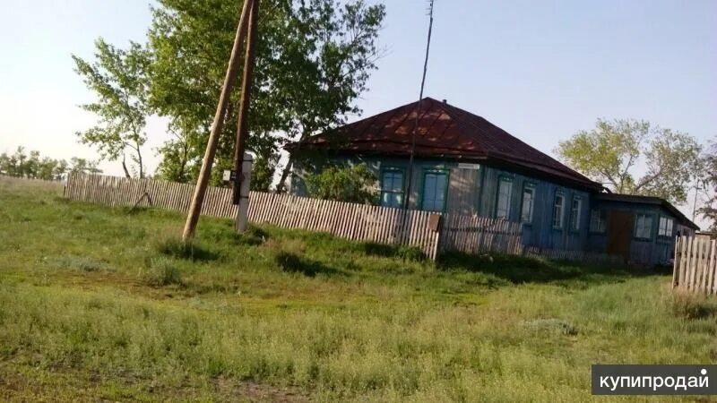 Погода славгородское алтайский край