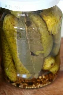Мариновать огурцы горчицей