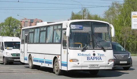 5 автобус чкпз