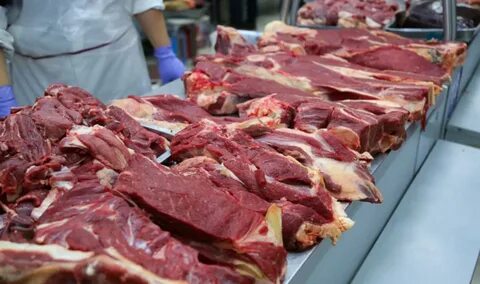 Корольдік минет порносын қараңыз