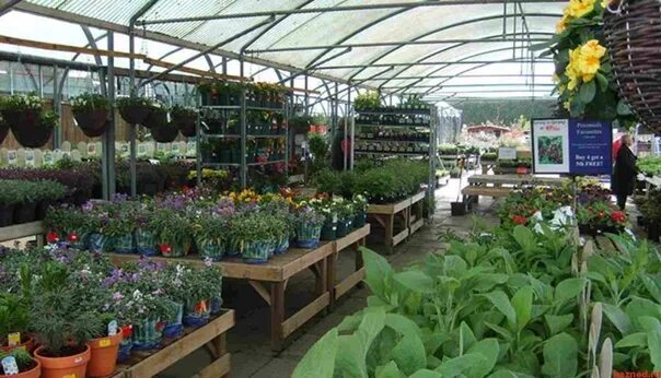 Лучший магазин рассады. Павильон для садового центра. садовый магазин, рассада. торговый центр сад и огород. выкладка в садовом центре.