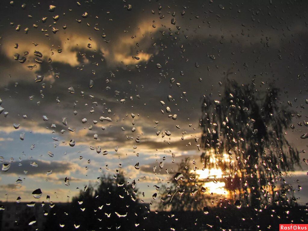 мокрый снег за окном. каплями дождя ветром. дождь на стекле. дождь летом. капли на стекле.