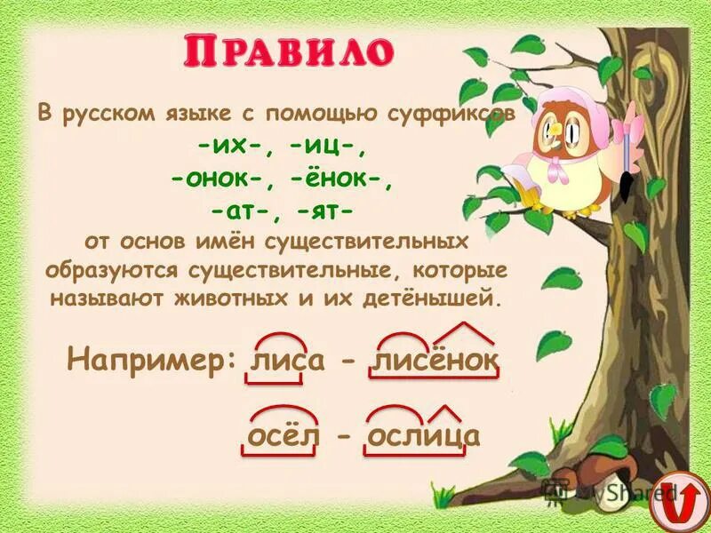 образуйте существительные с суффиксами иц. правило написания суффикса иц и ец. карточки правописание суффиксов ец иц 3 класс. образуйте существительные с суффиксами иц. список всех суффиксов русского языка в таблице.