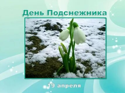 19 апреля цветы