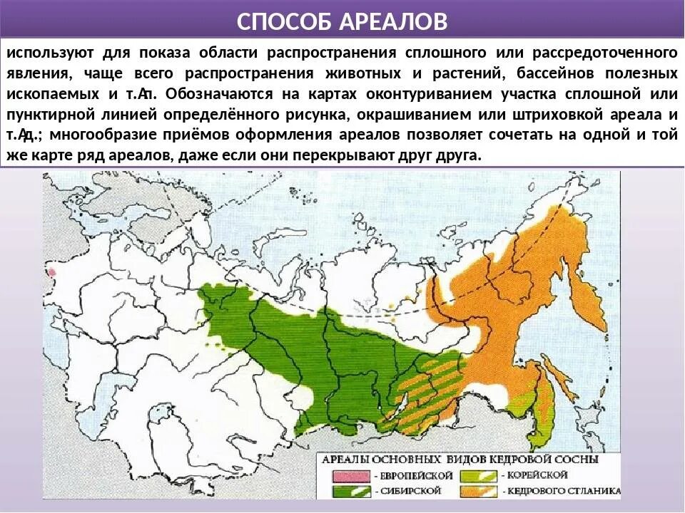 Лиственница сибирская ареал. Ареал произрастания Сибирского кедра. Ареал распространения кедра Сибирского. Кедр ареал произрастания в России. Ареал сосны сибирской в России.