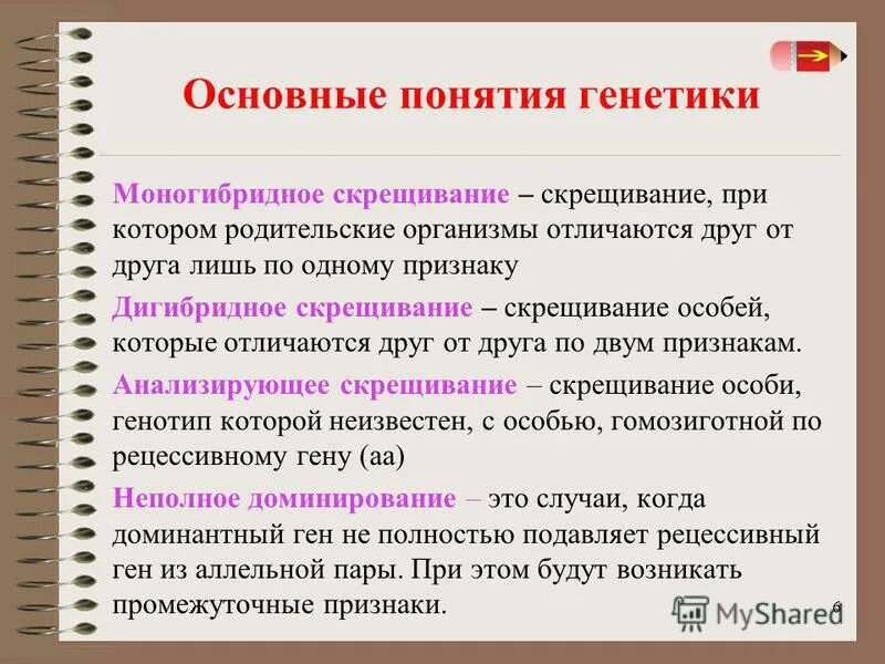 Моногибридное скрещивание егэ. Основные понятия в генетике. Основные генетические термины и понятия. Скрещивание понятие в биологии.