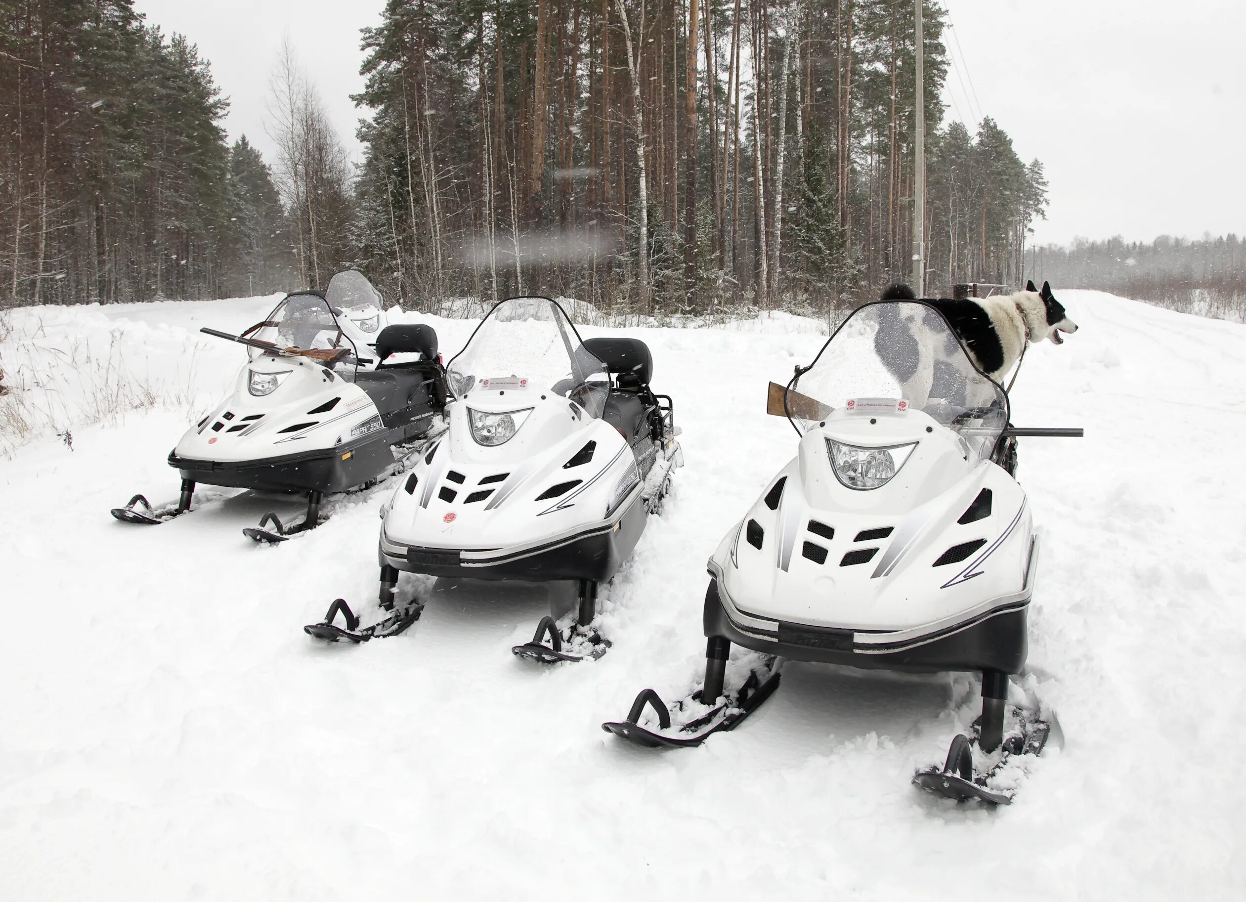 Новый тайга. Снегоход тайга рм patrul 550 swt. Новый тайга. Снегоход тайга свт 550. Новый тайга.