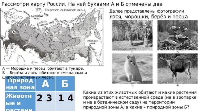 Дальше идут степные места впр ответы. Карта природных зон 4 класс ВПР России окружающий. Карта природных зон России 4 класс окружающий мир ВПР. ВПР окружающий мир природные зоны.