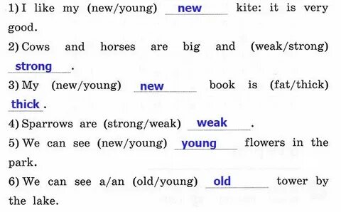 Rainbow english 3 step 7