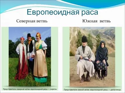 Северная ветвь
