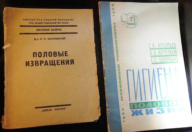 Классификация извращений. Список половых извращений. Извращенный половой акт. Половые извращения картинки. Извращенцы крупно