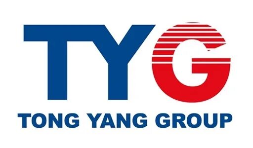 Tong yang group. Tyg запчасть. tyg страна производитель. tyg каталог. tong yang group на сколько качестве.