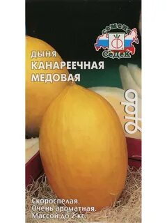 Дыня канарская отзывы