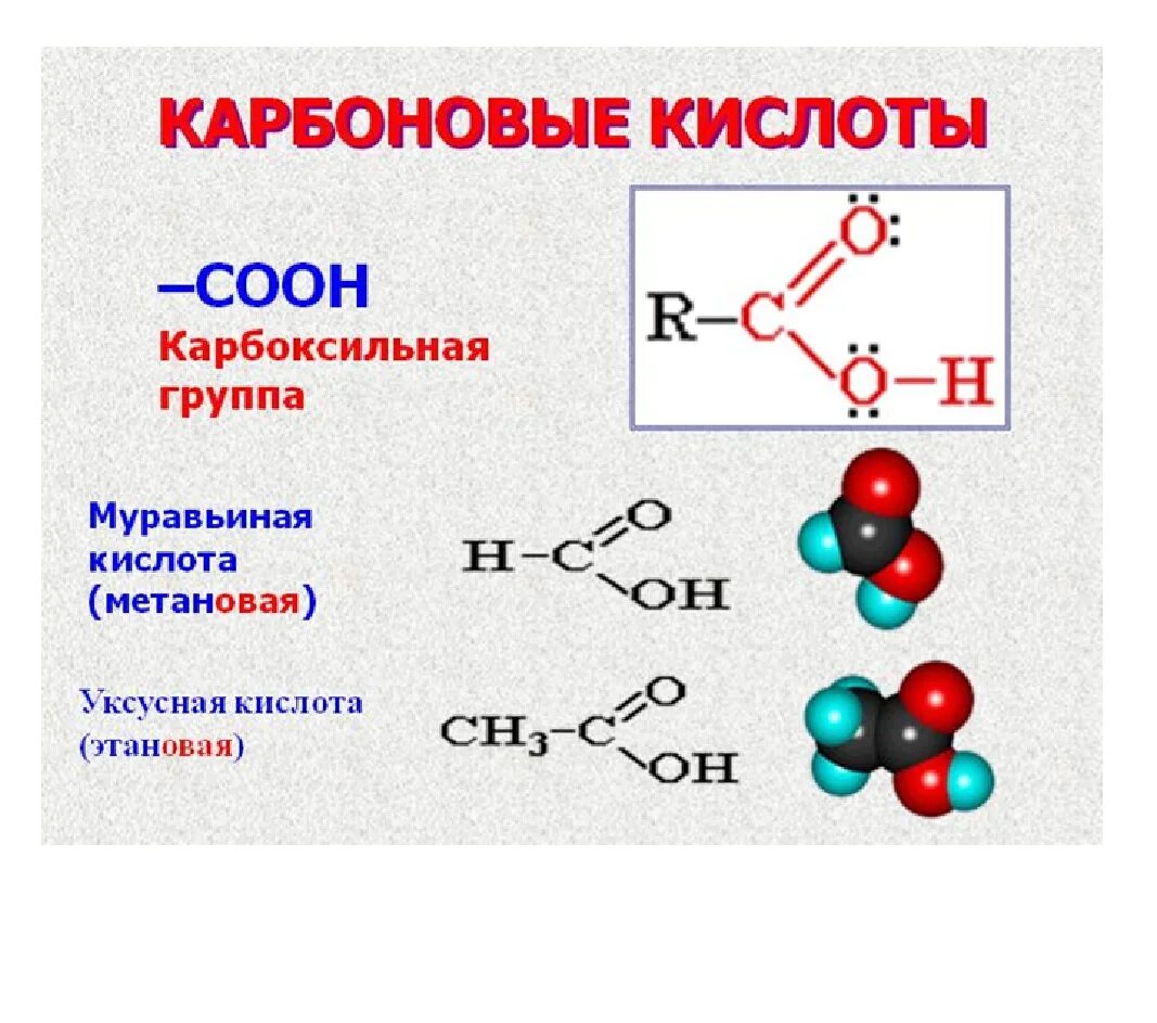 Группа соон является